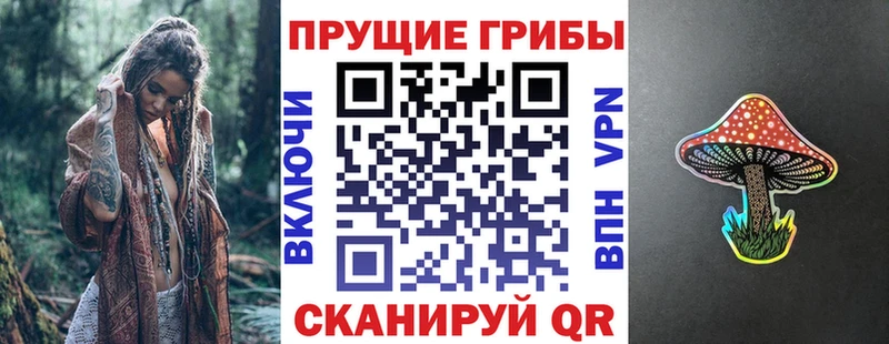 Псилоцибиновые грибы GOLDEN TEACHER  Новодвинск 