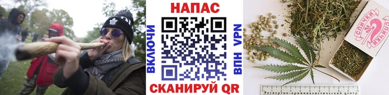 Каннабис индика  купить наркотик  Новодвинск 